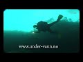 diver in saltstraumen diver in saltstraumen