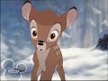 Bambi 2; Trough your Eyes Bambi 2; Trough your Eyes