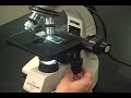 How To Use A Microscope