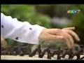 Beauty Plays Traditional Vietnamese Music (two)