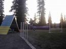 Rosco Agility Training