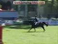 videos de O'Brion Du Plessis - CSI *** Royan 2008 - Barrage