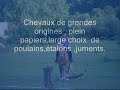 Pierre BALLOT éleveur de chevaux comtois à MARNAY (70FRANCE)