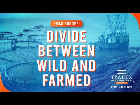 3MMI Europe: The Divide Between Wild & Farmed Seafood: Wild Premiums Rise, Farmed Prices Fall
