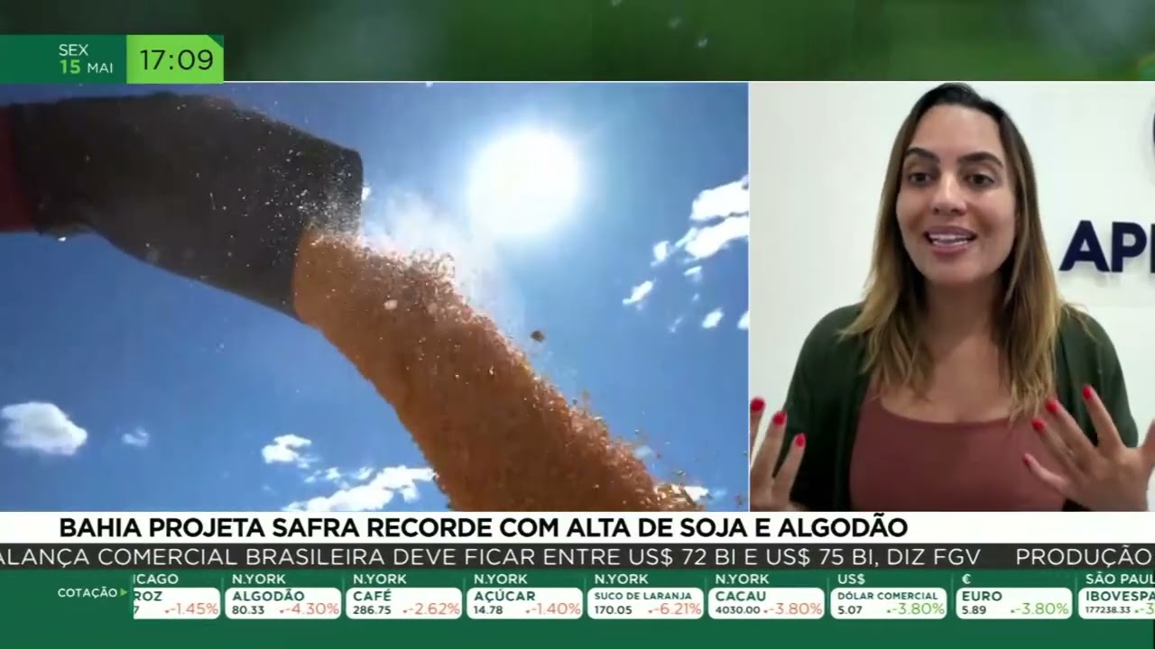 Bahia projeta safra recorde com alta de soja e algodão