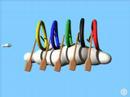 Gio - rowing - aviron - canottaggio Gio - rowing - aviron - canottaggio