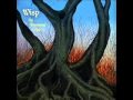 Wisp - Picatrix