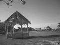 Old Timey Jamaica