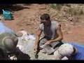 Ghost Ranch Dinosaur Excavation, 7/19/07