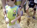 Siega a mano en Azuelo