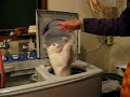 猫と洗濯機