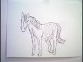 Instantes - (stop motion)