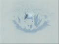 Miracle AMV