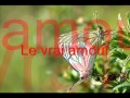 video musique le vrai amour music douce et calme bonne nuit m�s amies et amis votre amie chaton