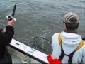 Fishing Stripped Bass 5.4.2008