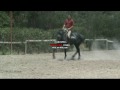 Don tornado, principe y kerak