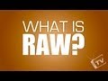 WHAT IS RAW? 2 MINUTE Photography Tutorials for Beginners