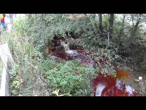 how to dissolve pyrite