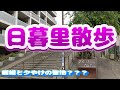 【日暮里散歩】Vol.15　夕焼け‼️だんだぁ〜ん‼️　街ぶら　おそとだいすき