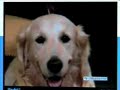 maya in tv