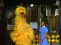 Big Bird has Tourettes