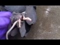 http://www.youtube.com/watch?v=X0U39Lye6ms