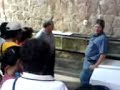 acuario morelia5 acuario morelia5