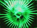 Cosmic Gate - Human Beings(Human Beings remix vinyl)