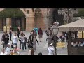 TDS disney