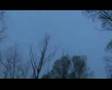 Film: A vad