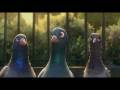 videos de Bolt