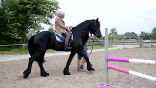 Paarden wens