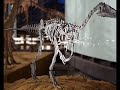 Tribute to Eoraptor Tribute to Eoraptor