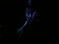 Bobaflex - Home (live) Bobaflex - Home (live)
