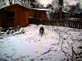 Schnee