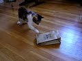 Thing in a Bag Thing in a Bag