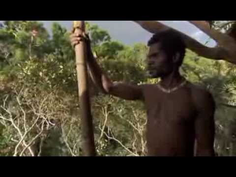 house builders - Disclaimer: I do not own the following video clip. No copyright infringement intended. All Copyright BBC © The simply amazing Korowai tribe, from the beautif...