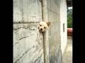 Hilarous Pics!
