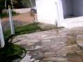videos de Equipe Adrenalina de Recife