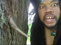 Search Video