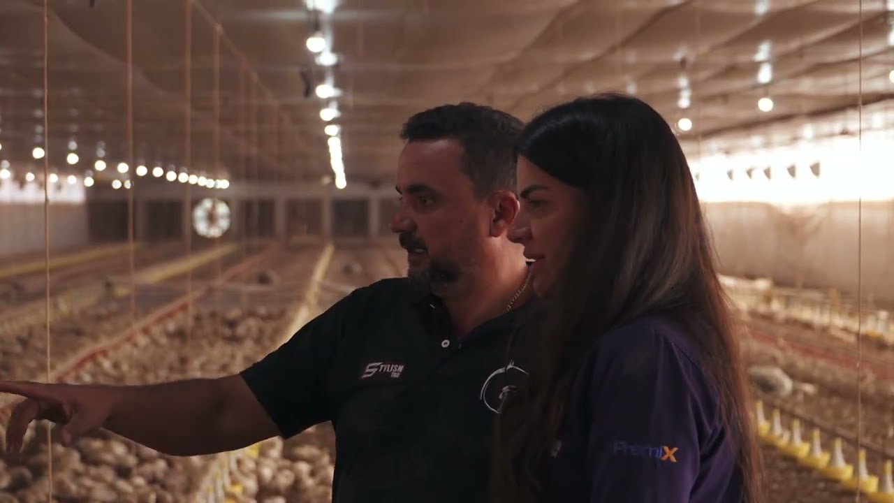 Tecnologia aumenta eficiência e facilita rotina na produção de aves | Interligados