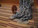 Meeris und das Handtuch