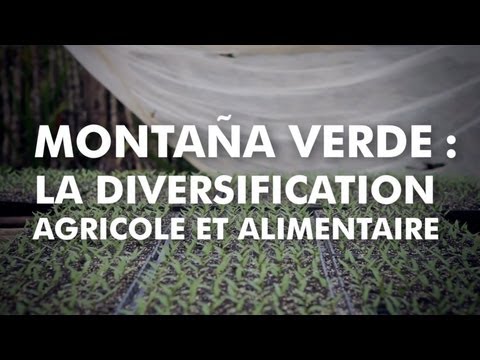 Montaña Verde: la diversification alimentaire