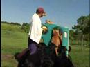 Southeastern Guide Dogs - Empowered Client