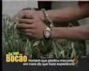 maconheiro maconheiro