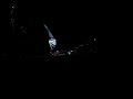 DJ Krush 6/6 @ Le Vauban Brest 2008