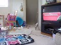 DDR-Marina-Kick the Can-HEAVY