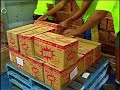 Onion Corporate Project - Paperless Warehousing