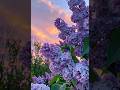 Relaxation for 5 minutes