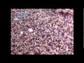 يوتيوب ابراهيم قاقوش , يوتيوب اغاني ابراهيم قاقوش الثورة السورية